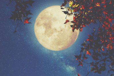 11月4日は牡牛座の満月　お金へのネガティブさを手放して、豊かさを手に入れよう！