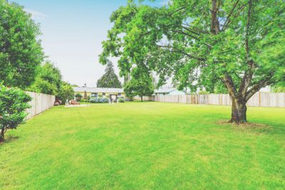 【心理テスト】思い浮かべた「庭」でわかる心の広さと交友関係