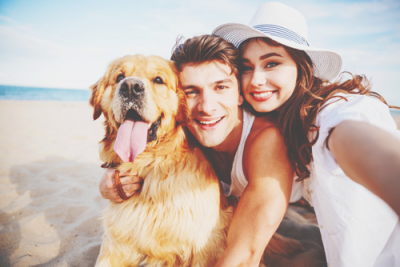 深田恭子が大沢たかおと犬好き会合　ウワサの彼と三角関係に発展？