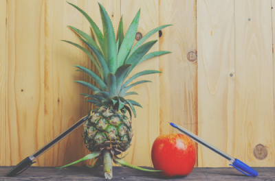 トランプ来日で存在をアピール　ピコ太郎は一発屋では終わらない