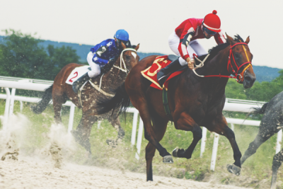 武豊はハニートラップにかかっただけ!妻・佐野量子“神対応”の理由