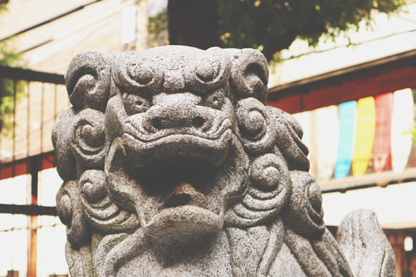 2018年の厄年本厄は1982年・1986年・2000年生まれ　厄除け・厄払いをしよう！