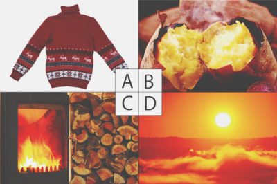 【心理テスト】あったかいと感じる写真でわかる恋の秘訣