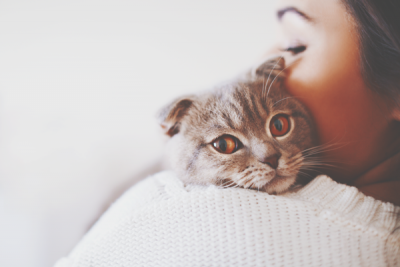 【お悩み相談室】口下手でも恋人はできる！　まずは自分に合った出会いの場を選んで