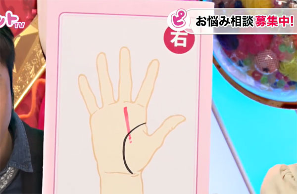 中指の下、下に向かって伸びているのが「災害線」