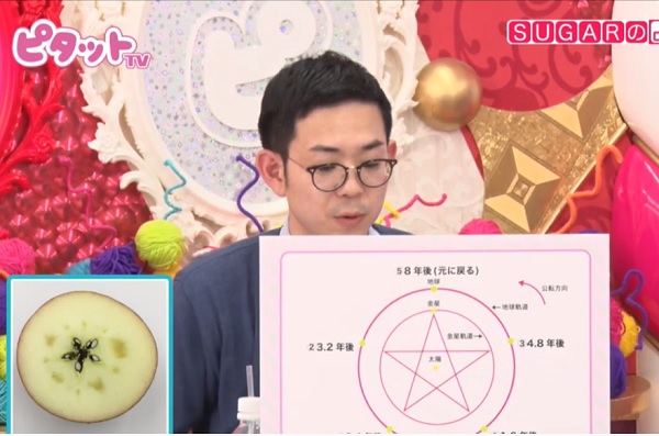 りんごの種の断面図と金星の軌道が似ている!