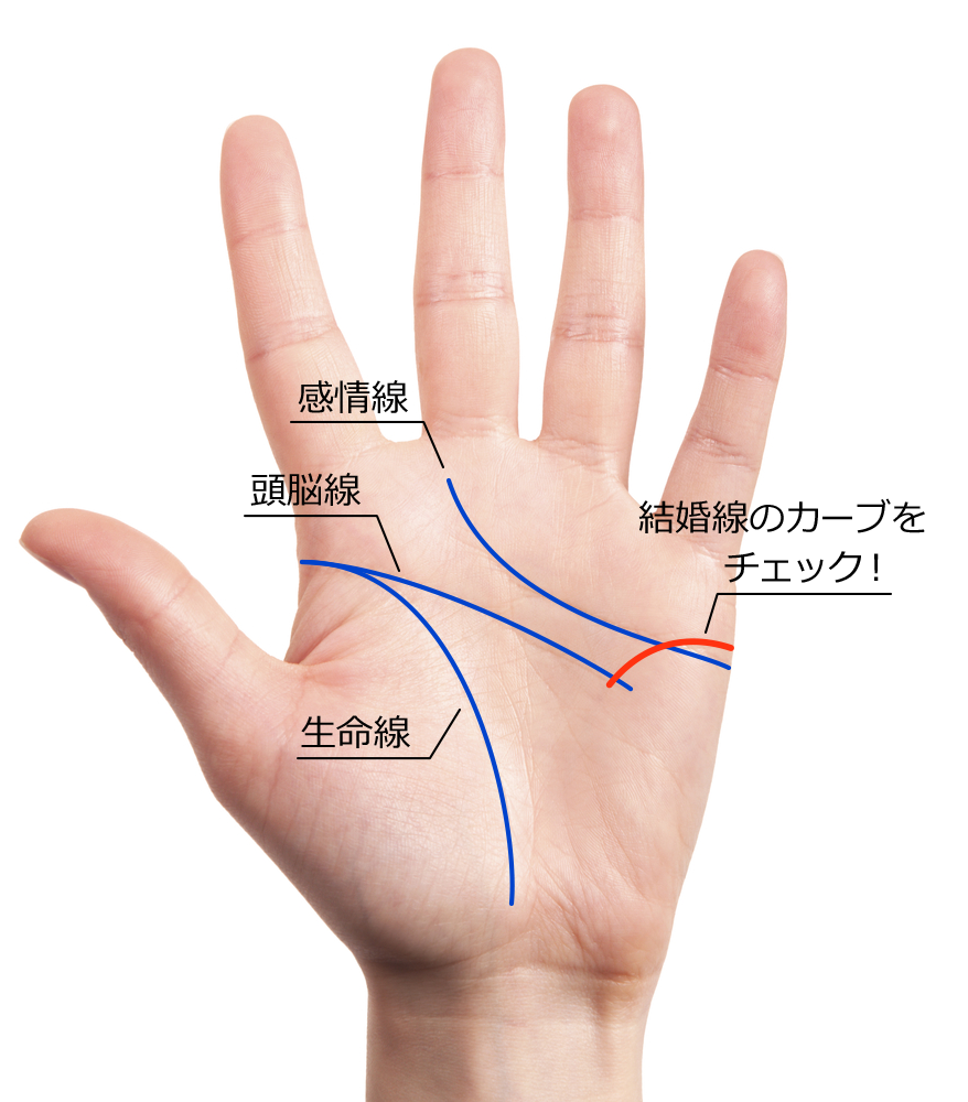 左手の結婚線がカーブを描いて下降している手相
