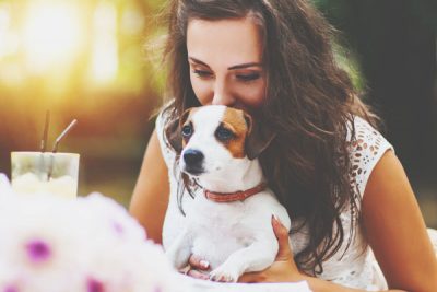 【心理テスト】犬のかわいがり方でわかる、LINEでやりがちなコミュニケーション法