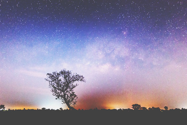 【2月の惑星予報】革命と解放の1カ月　自由に自分革命を進めてみよう！