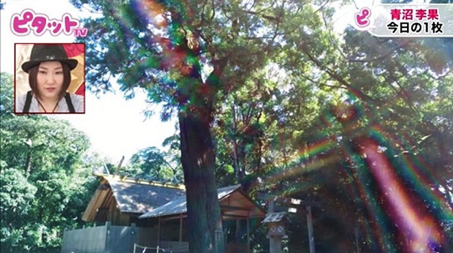 「運気をおすそ分けしたい」と青沼がシェアしてくれた写真