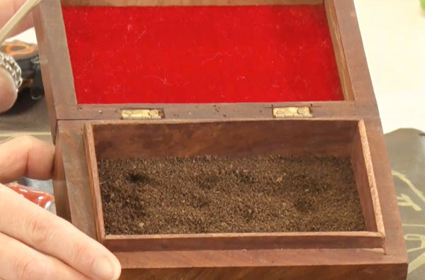 「昔の人は土を棒でつついて占っていた」とジオマンシーを再現