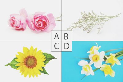 【心理テスト】選んだ花でわかるGWに訪れるプチハッピー