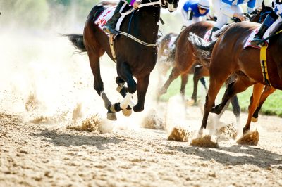 占い芸人・パシンペロンはやぶさ 桜花賞を見事的中!