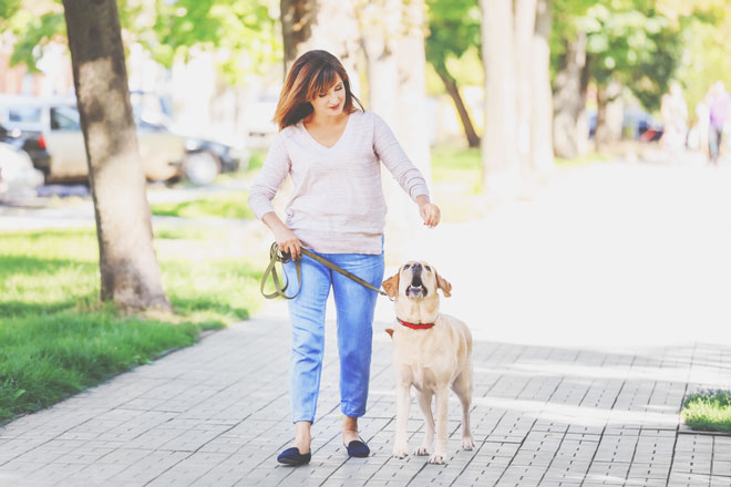 【心理テスト】初めての犬の散歩でわかる！　自分の感情をコントロールできているかどうか