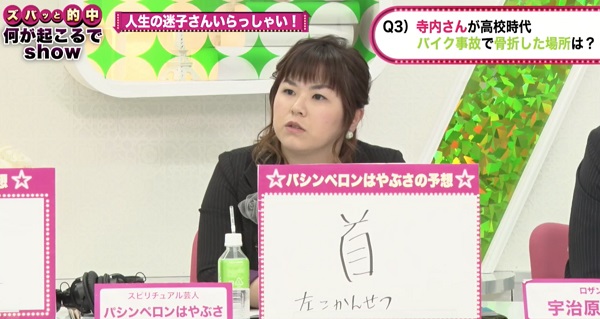 パシンペロンはやぶさは霊視で、けがの箇所を指摘する