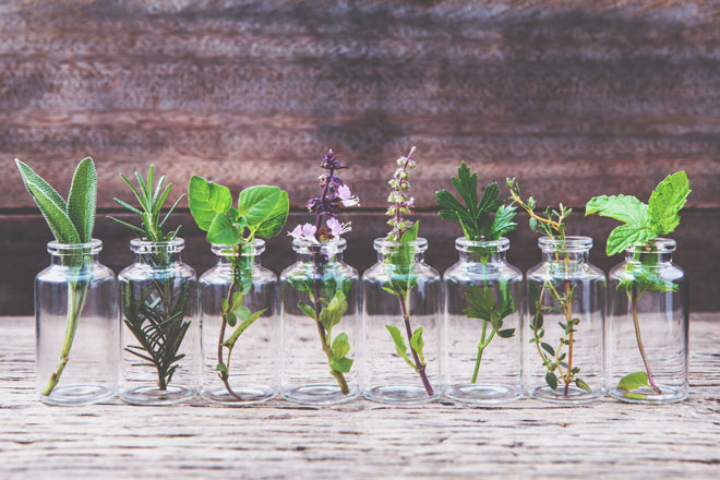 【アロマ占星術】5月21日、太陽が双子座へ　揺れる知性をアロマでサポートしよう！