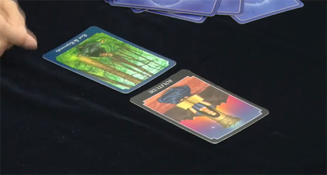 引いたカードは2枚とも、人物が1人だけ描かれたカード