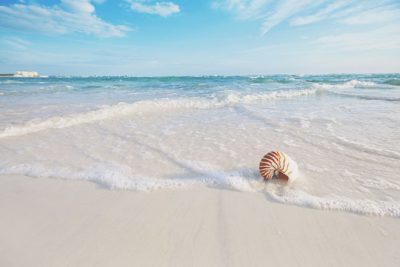 【9月の開運壁紙】恋愛運は「浜辺の白浜」写真で運気アップ！