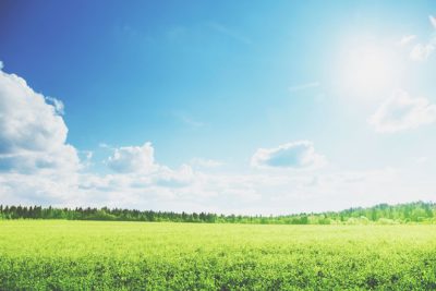 【心理テスト】鳥を描き込んむ場所でわかる訪れる幸運な出来事