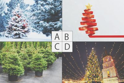【心理テスト】好きなクリスマスツリーでわかる、2019年に訪れる幸せな出来事