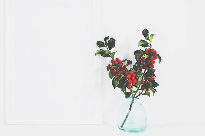 樹木に触れてパワーチャージ！　幸運を呼びたい人は「ヒイラギ」を部屋に飾って