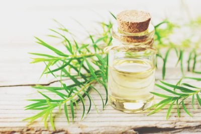 【アロマ占星術】2/19・太陽が魚座へ　曖昧な境界線をサポート！