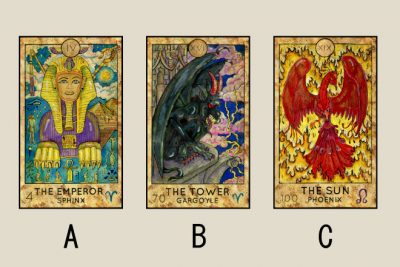 【タロット占い】今のあなたの役割は？