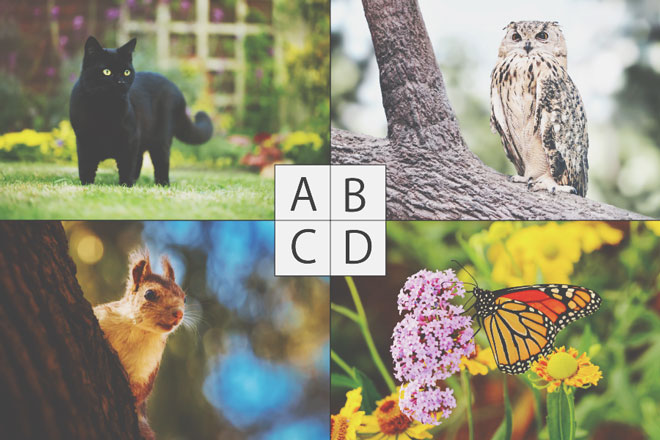 【心理テスト】写真に写り込んでいたものは……？　答えでわかるあなたの未練