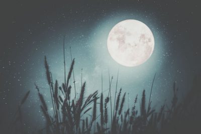 9月14日は魚座の満月　心の傷を手放して、深い癒やしに包まれよう