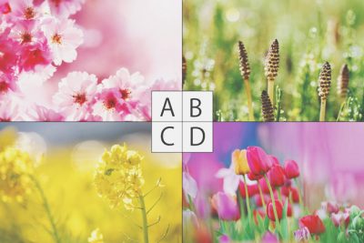 【心理テスト】散歩したい場所でわかる幸せが訪れるとき