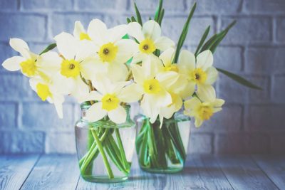 部屋に飾りたい開運パワーを呼び込む花