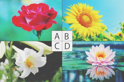 【心理テスト】好きな花でわかる「恋愛相手の絶対条件」