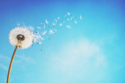 【心理テスト】風に乗って飛ばされているものは何？　答えでわかるあなたが縛られているもの