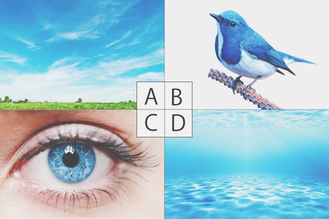 【色×コト占い】「青い○○」で連想したものは？　答えでわかる効果的なストレス解消法