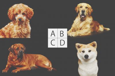 あなたが苦手とする友人タイプがわかる【心理テスト】