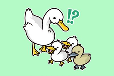 【心理テスト】色の違うヒナをどう思う？　答えでわかる、あなたの目立ちたがり度