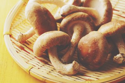 【夢占い】しいたけの夢は人間関係を円滑にするチャンス！　キノコの夢が暗示すること