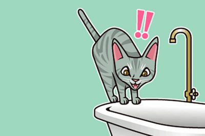 【心理テスト】この猫は何に驚いた？　答えでわかる、深層で恐怖を感じているもの