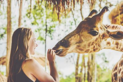 【夢占い】飼育員になった夢は愛を育むタイミング！　動物園の夢が暗示すること