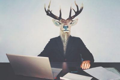 【一言診断】この写真を見て一言！　答えでわかる、あなたの転職成功度