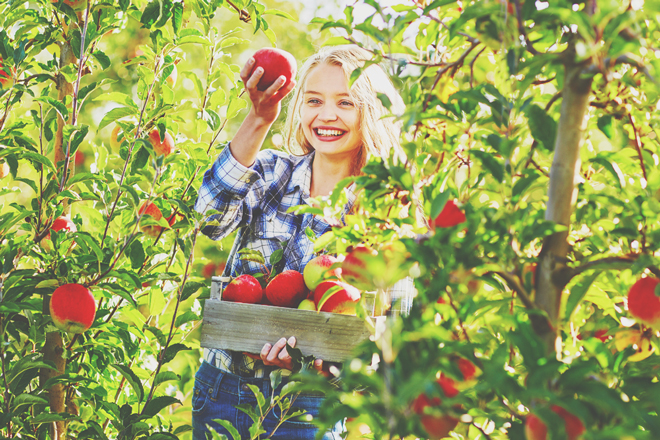 【11月の開運方位】吉方位は「北西」、フルーツ狩りがラッキーアクション!