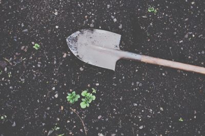 【心理テスト】庭から出現したものでわかる、これから実るもの