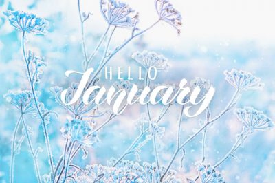 【1月の運勢まとめ】運勢＆開運アクションをチェック！