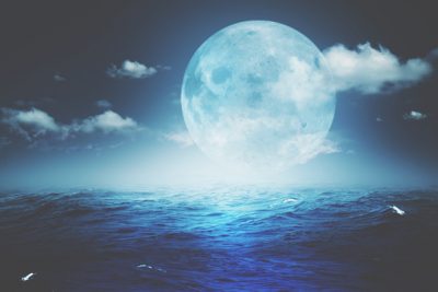 2/27は乙女座満月　春のスタートに向けて整えよう！