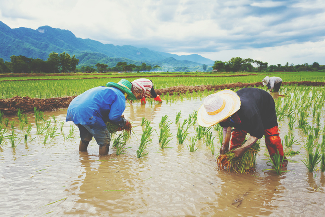 【一言診断】この写真を見て一言！　答えでわかる、これから成長していくこと