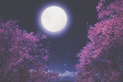 3月29日は天秤座の満月　対人関係の苦手意識を手放して、軽やかな社交性を手に入れよう！