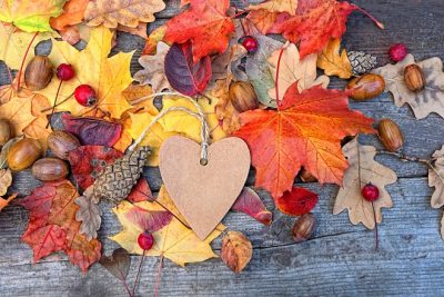 「秋分」の占星術的な意味とは？　2021年、秋分から冬至の占いもお届け