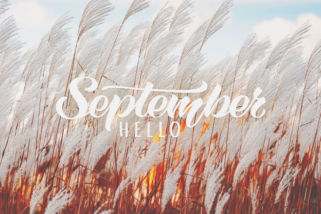 【9月の運勢まとめ】今月の運勢、恋愛運、開運アクションをチェック！