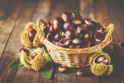 【10月の開運壁紙】恋愛運は「青空」、金運は「栗」の画像