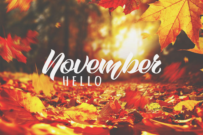 【11月の運勢まとめ】今月の運勢、恋愛運、開運アクションをチェック！